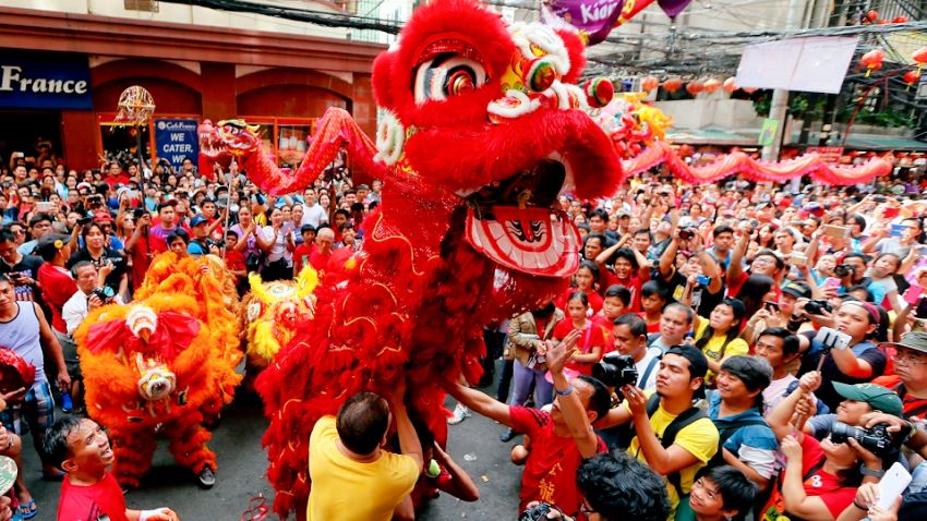 Chinese New Year 2019 Celebrations