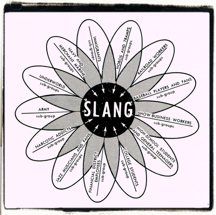 Slang infographic picture